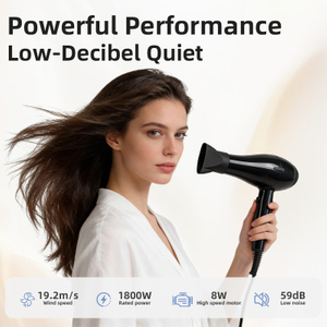 C502 Professional High Wind Power Hair Dryer