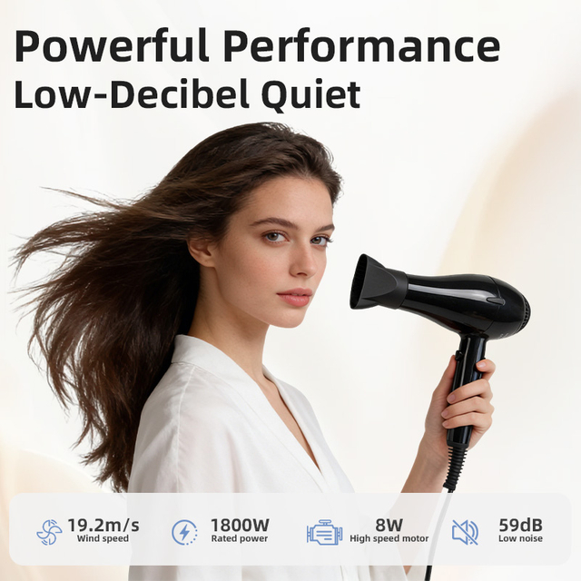 C502 Professional High Wind Power Hair Dryer