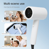 WT-1200 Negative Ion Hair Dryer